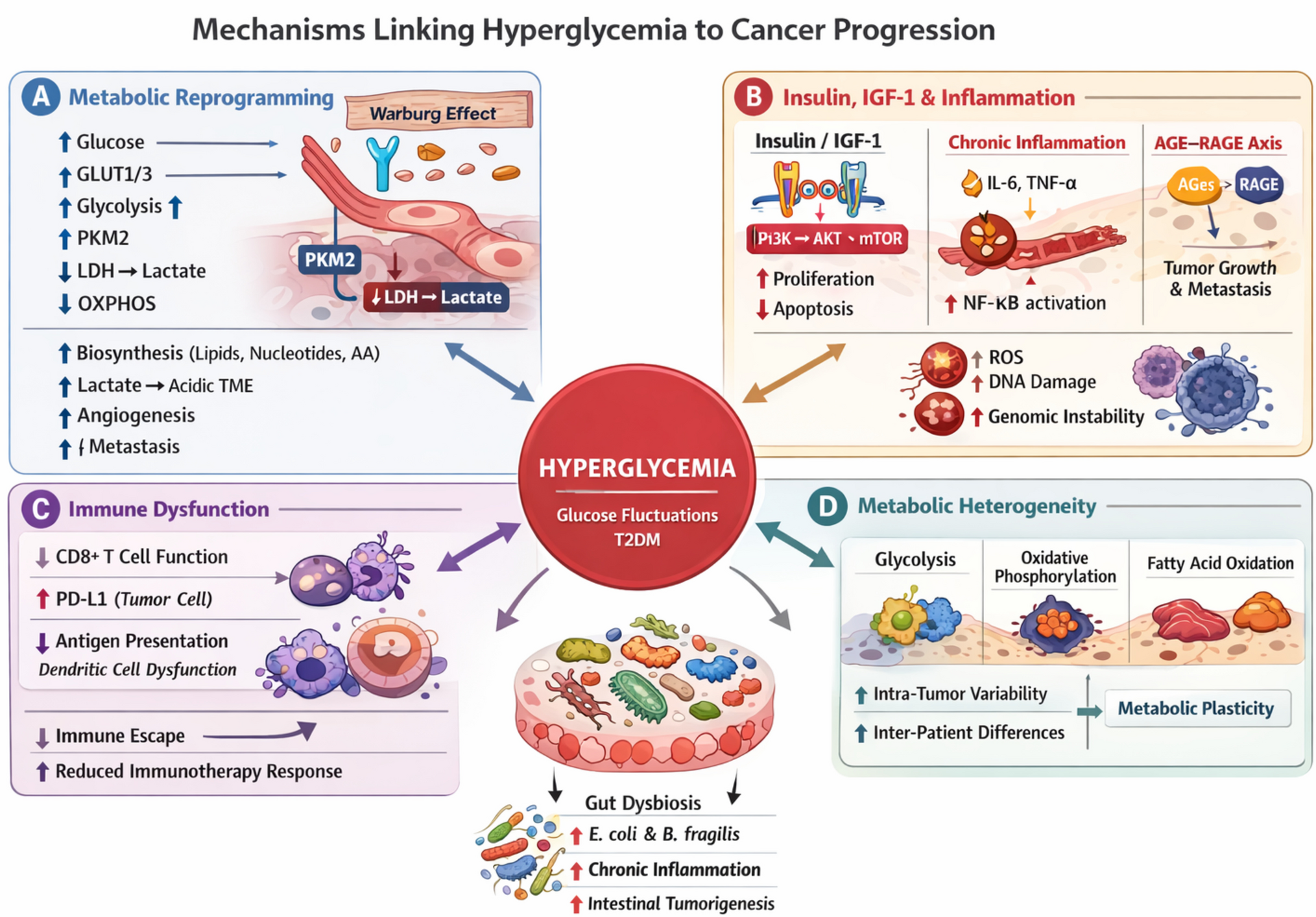 Diabetes and cancer: glucose control impact on survival and tumor outcomes