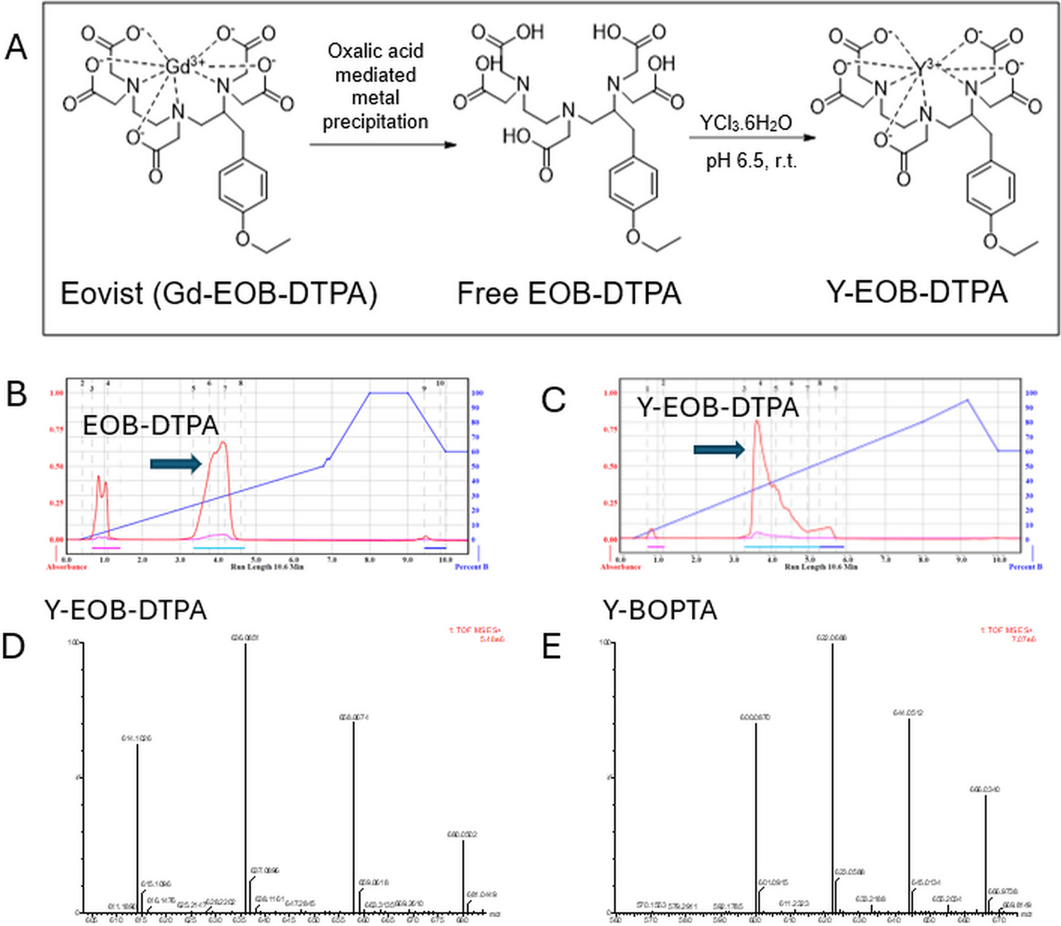 Transporter-Mediated Hepatic Uptake of EOB-DTPA and BOPTA Is Largely Independent of Chelated Metal