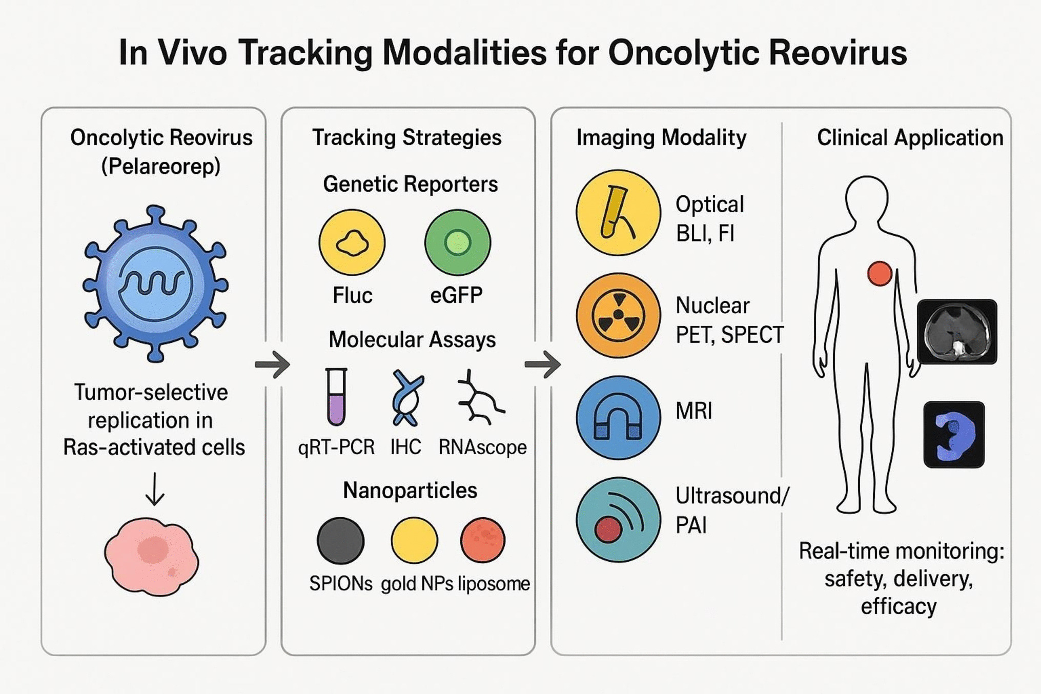 Tracking Modalities for Oncolytic Reovirus: Principles, Clinical Applications, and Translational Integration