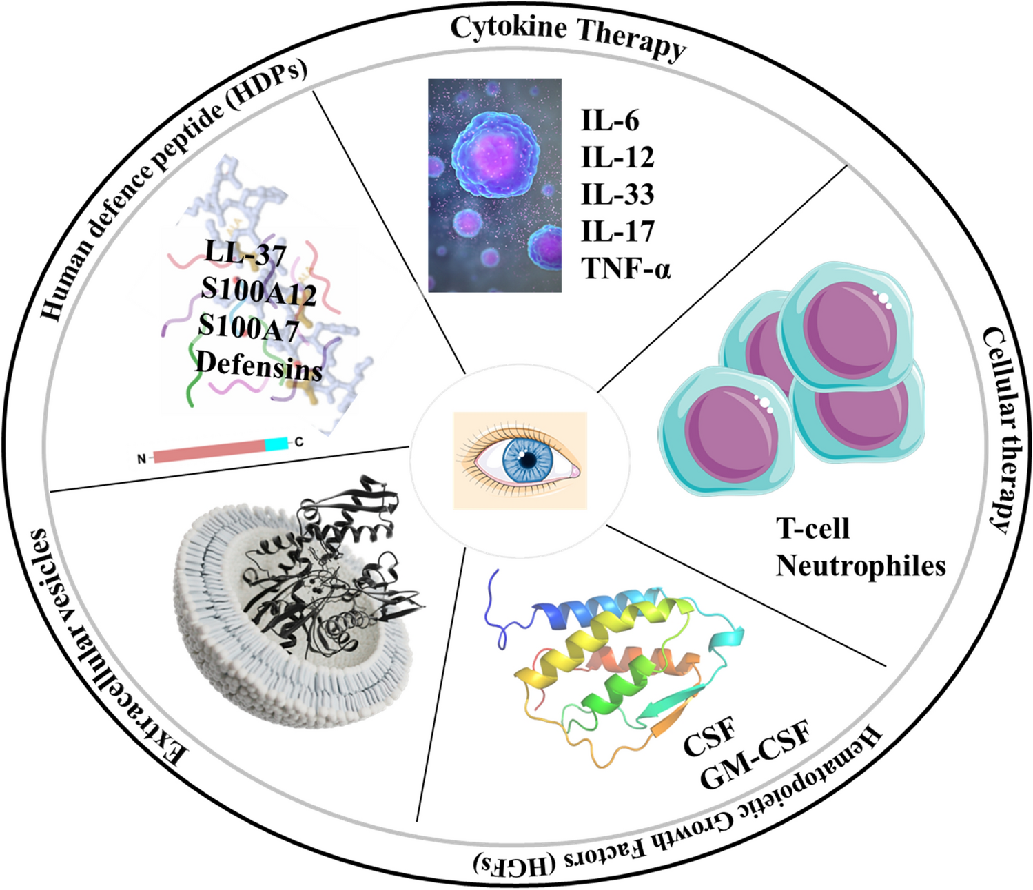 Immunotherapy in Ocular Fungal Infections: Advances and Emerging Strategies