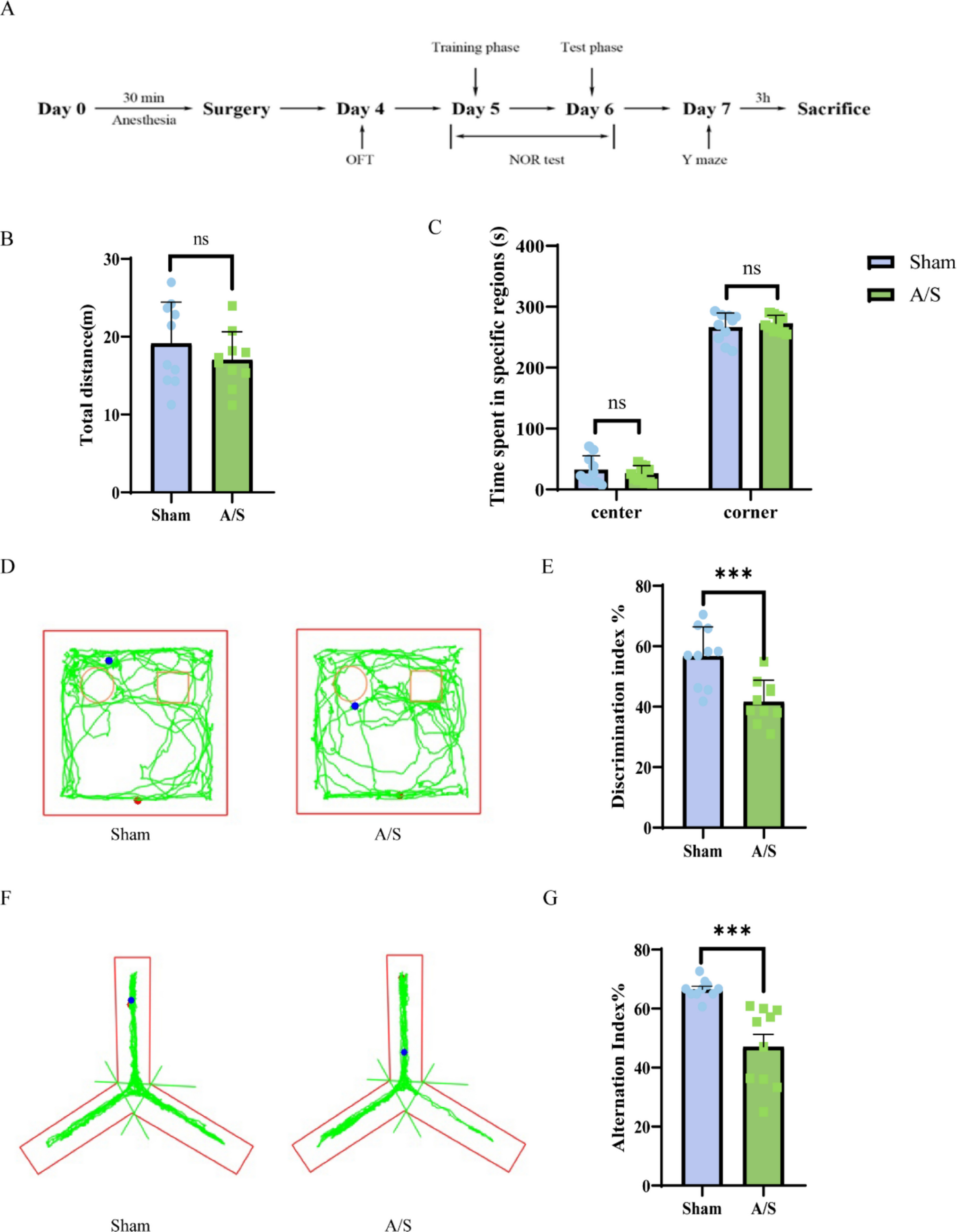 Mechanistic Investigation of TSPO-Mediated Dysregulation of Mitochondrial Copper Homeostasis in Microglia and its Role in Perioperative Neurocognitive Disorders