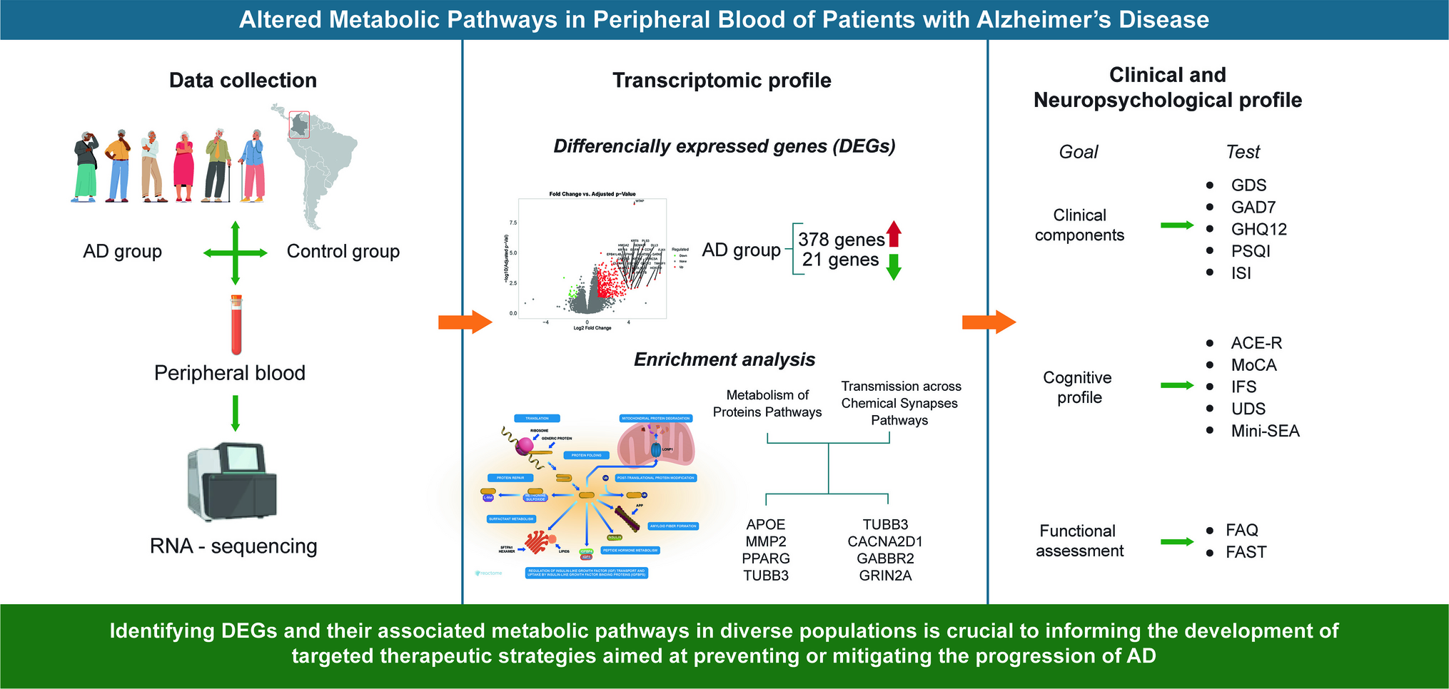 Exploratory RNA Sequencing Reveals Systemic Metabolic Dysregulation in Alzheimer’s Disease: Insights from a Diverse Latin American Cohort