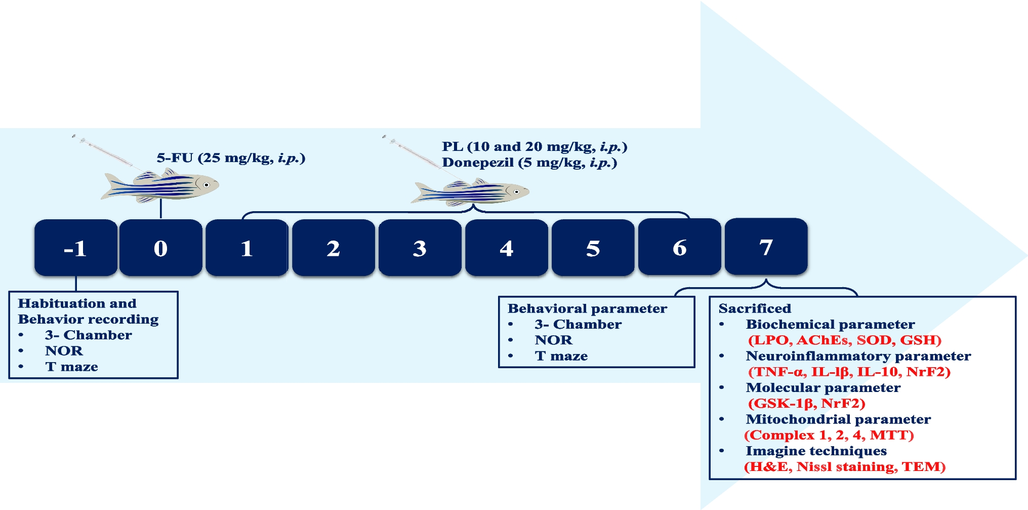 Plumbagin Ameliorate 5-Fluorouracil-Induced Cognitive Impairment in Adult Zebrafish:  and  Evidences