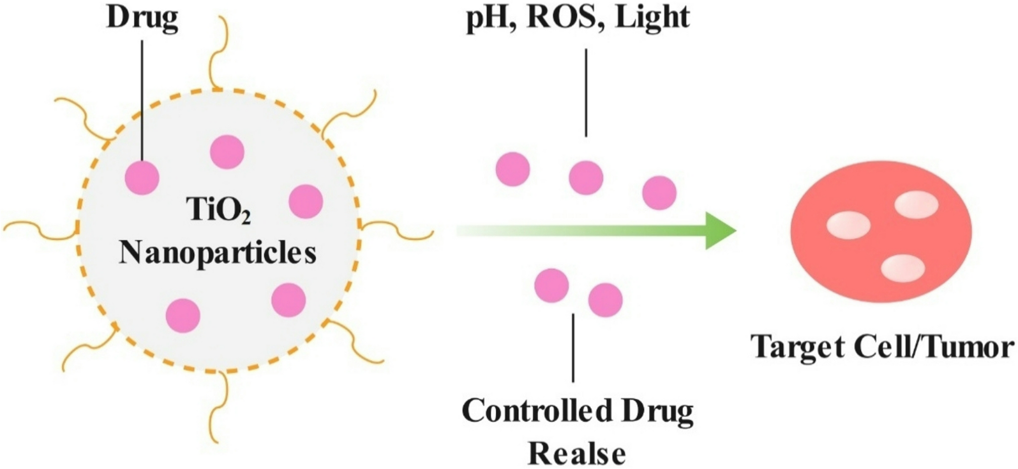 Biocompatible Titania for Drug Delivery and Tissue Engineering