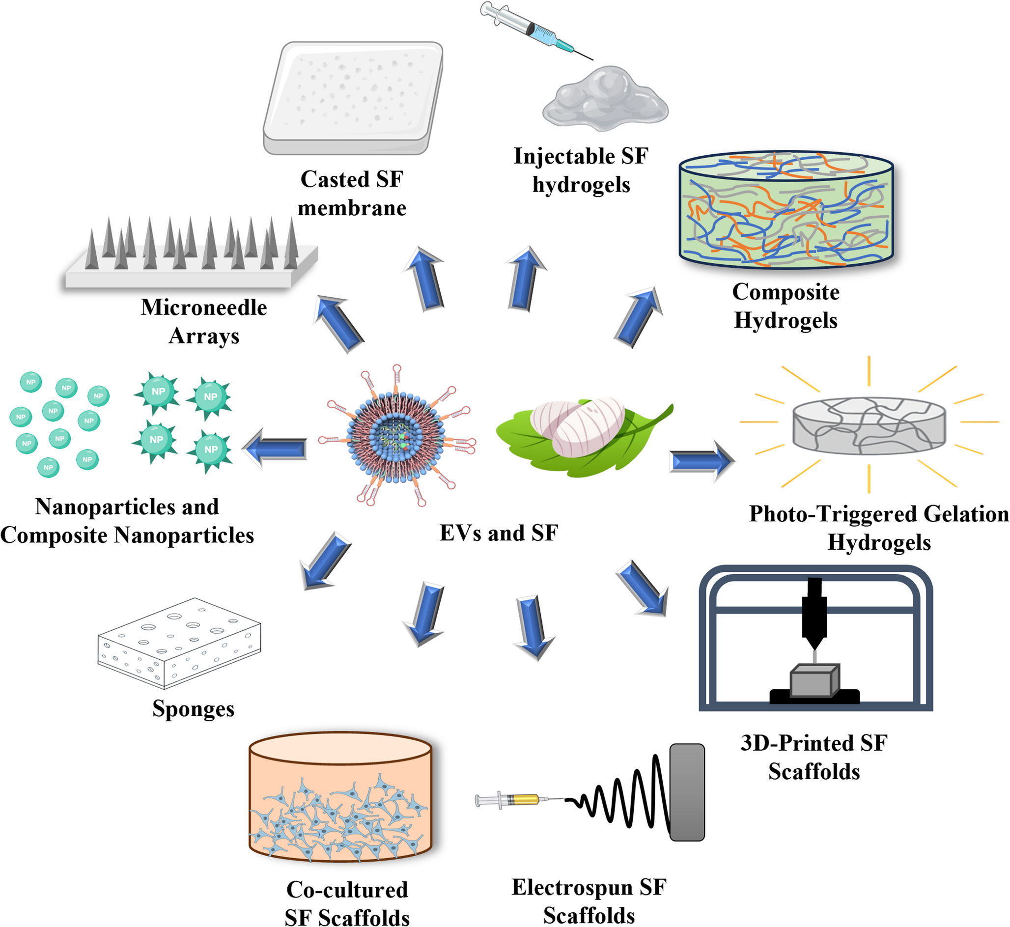 Extracellular Vesicles-Loaded Silk Fibroin Scaffolds for Targeted Therapeutic Delivery