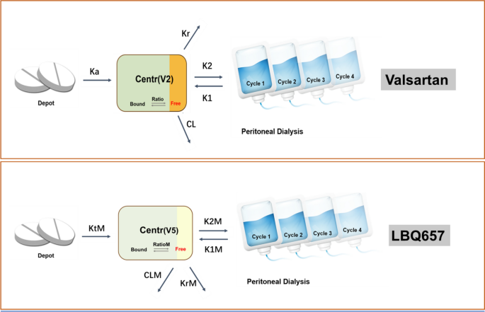 Population Pharmacokinetics of Sacubitril/Valsartan in Patients with Heart Failure and End-Stage Renal Disease Undergoing Peritoneal Dialysis