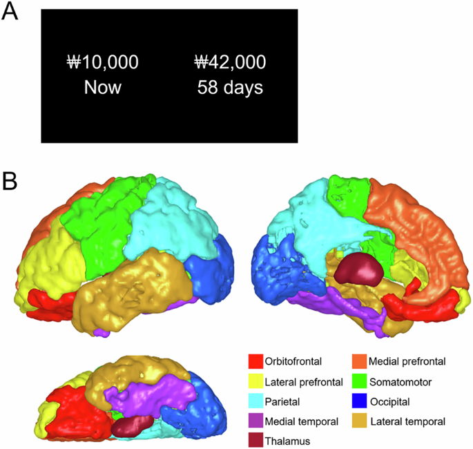 Thalamo-cortical white matter connectivity-defined thalamic subarea volumes predict individual delay discounting