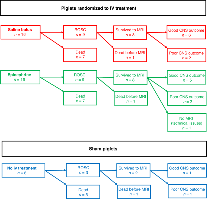 Epinephrine versus saline volume expansion in neonatal resuscitation: a blinded randomized piglet study
