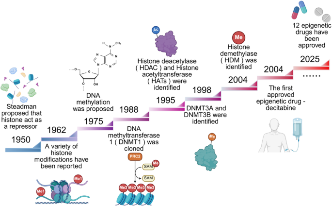 An Update Comprehensive Review on Epigenetic Modifications and Therapies in Autoimmune Diseases