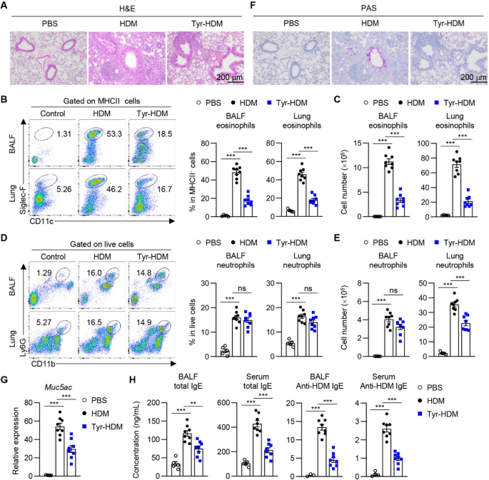 Enzyme−Crosslinked House Dust Mite Exhibits Reduced Allergenic Activity by Reprogramming the AMPKα−RALDH2 Axis in Type 1 Dendritic Cells
