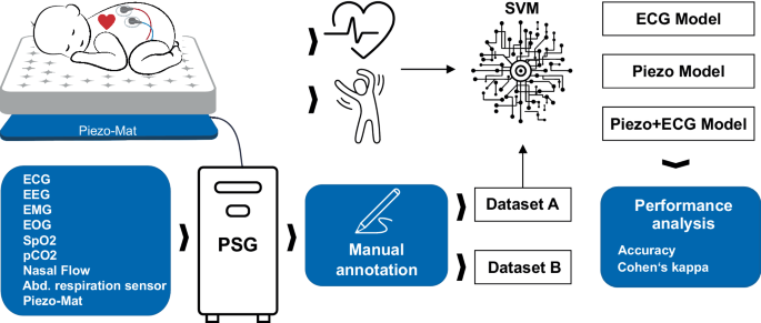 Impact of clinical covariates on the performance of an automatic sleep stage classification in preterm infants