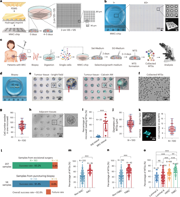 High-throughput generation of patient-derived cancer stem cells for precision medicine using a microwell-chip platform