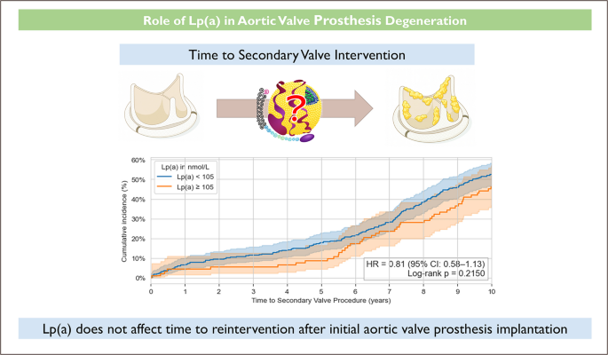 Impact of lipoprotein(a) on the durability of aortic bioprosthetic valves