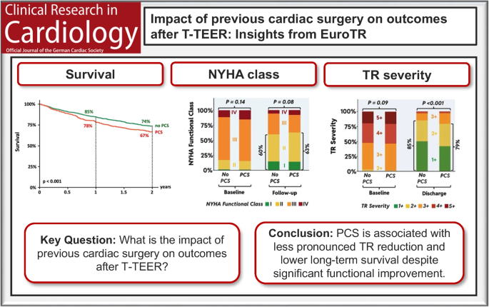 Impact of Previous Cardiac Surgery on Outcomes After Tricuspid Valve Transcatheter Edge-to-Edge Repair: Insights from EuroTR 