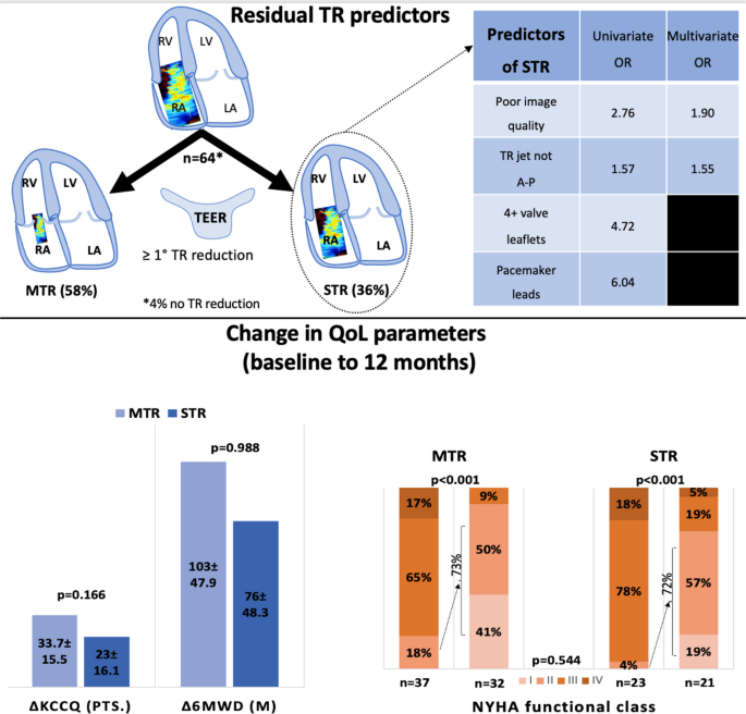 The impact of residual tricuspid regurgitation on long-term clinical outcomes, following tricuspid transcatheter edge-to-edge repair