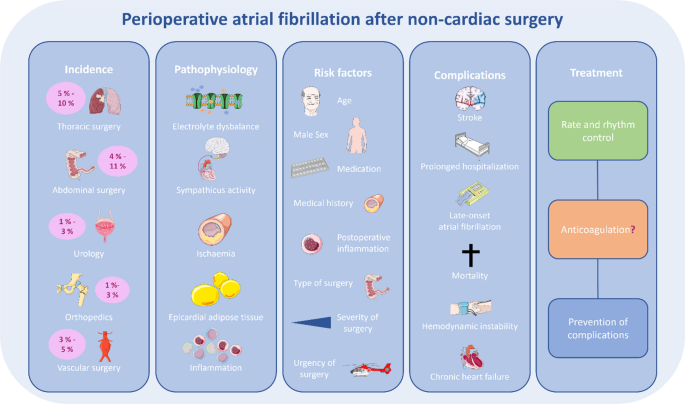 Perioperative atrial fibrillation after non-cardiac surgery — A narrative review