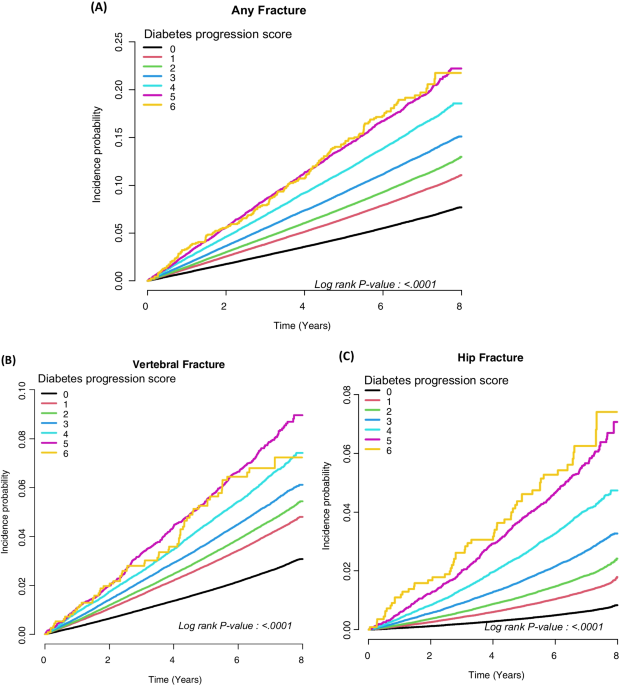Diabetes progression and its association with fracture risk in type 2 diabetes