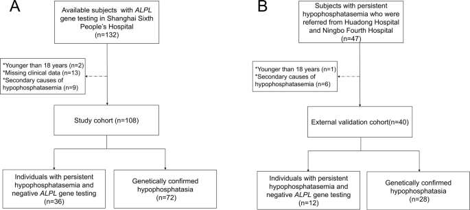 Identification of hypophosphatasia in adults with persistent hypophosphatasemia: clinical-genetic characterization and a validated diagnostic tool