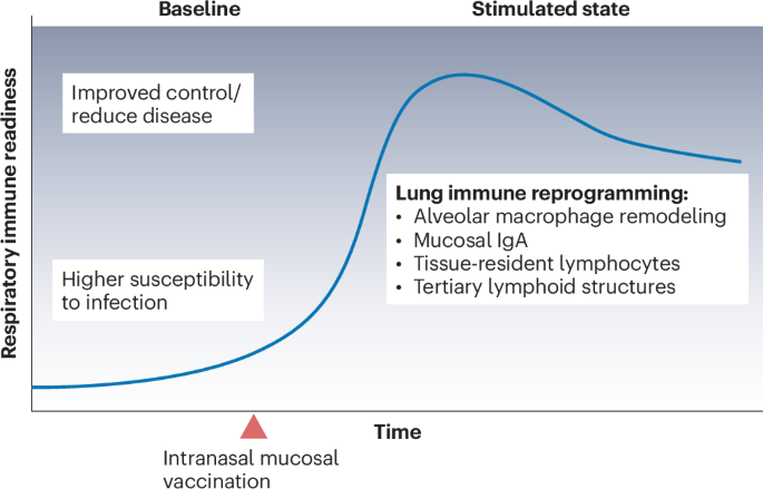 Broadly protective mucosal vaccination in the respiratory tract