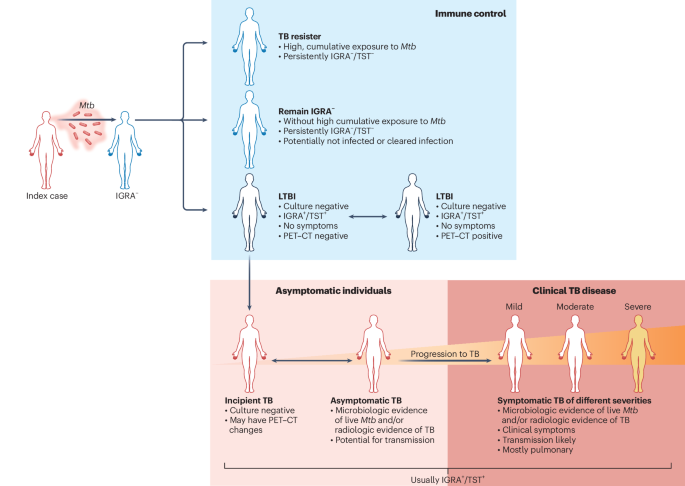 The host immune response to Mycobacterium tuberculosis determining protection or disease progression