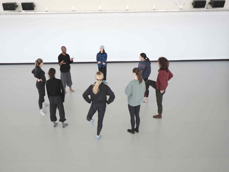 The Lifetime Dance Exposure Questionnaire for Professional Training: Survey Development and Reliability Study