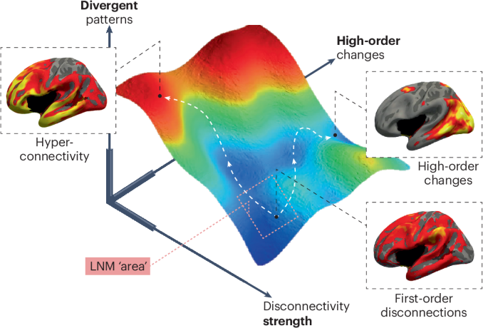 Considering biological limitations of lesion network mapping