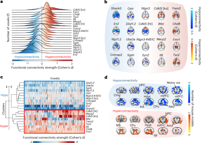 Autism subtypes identified using cross-species functional connectivity analyses