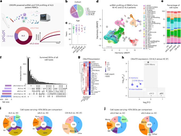 Integrated single-cell and spatial transcriptomic profiling in ALS uncovers peripheral-to-central immune infiltration and reprogramming