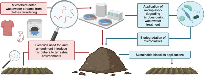 Microbial biodegradation of synthetic microfibres for the sustainable application of biosolids: a review