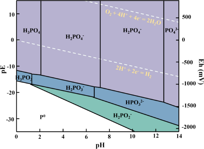 Microbial and abiotic oxidation of phosphite (P(III)) in aquatic environments: pathways, controls, and ecosystem implications