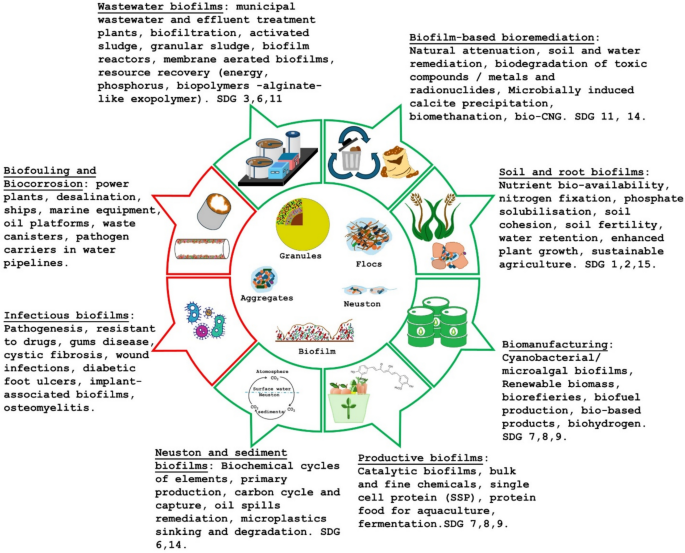 Microbial biofilms for sustainable development