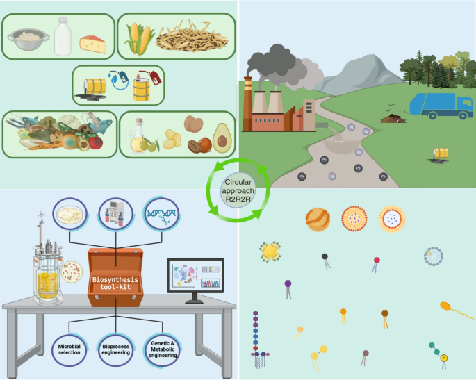 Biosurfactants and bioemulsifiers for soil remediation as a green solution from waste
