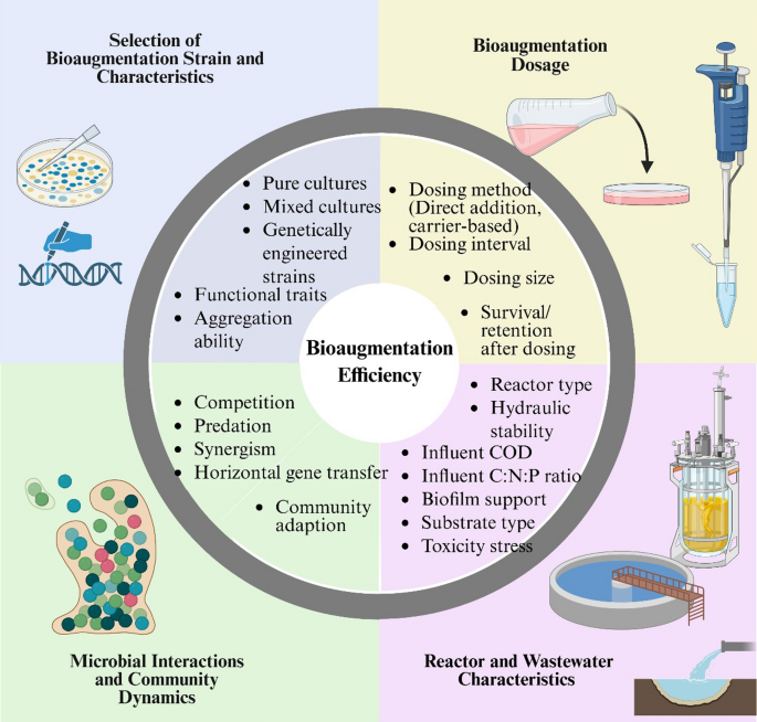 Enhancing bioaugmentation in wastewater treatment: the emerging role of aggregating bacteria as mediators in cell immobilization—review