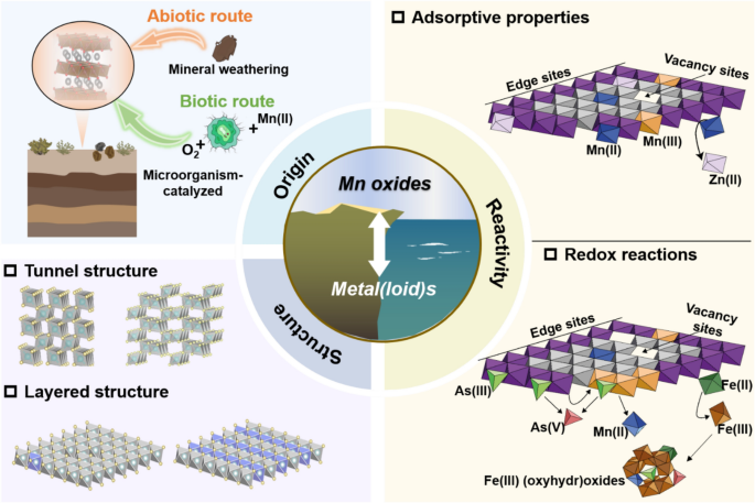 Origin and structure of manganese oxides and their reactivity towards metal(loid)s