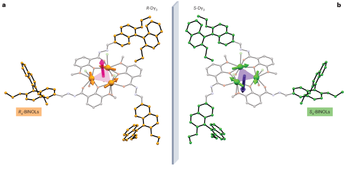 Single-molecule toroics with a chiral twist