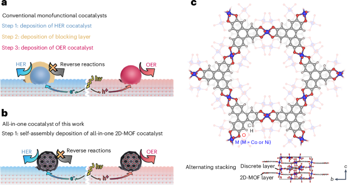 All-in-one cocatalyst for photocatalytic overall water splitting