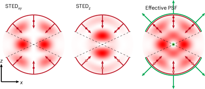 Implementation of an adaptive-optics assisted isoSTED nanoscope