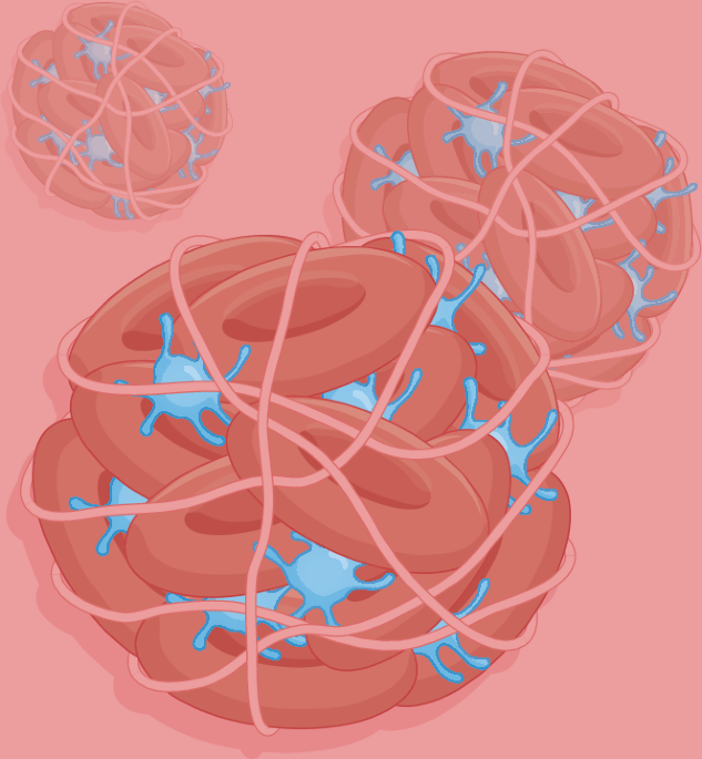 Engineered blood clots designed using click clotting technology can rapidly seal bleeding sites
