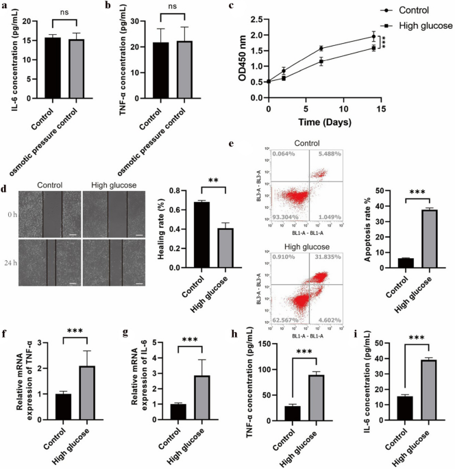 AGEs derived from high-sugar diets induce functional impairment of odontogenic stem cells via RAGE-mediated endoplasmic reticulum stress