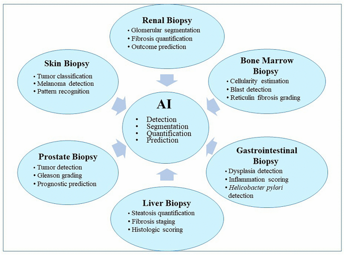 Artificial intelligence in small tissue biopsies: diagnostic applications, histochemical integration, and methodological challenges in surgical pathology