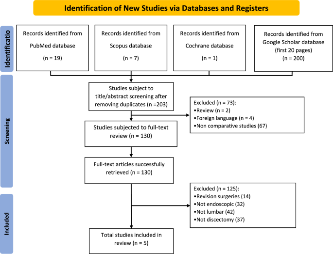 Percutaneous Endoscopic Lumbar Discectomy With or Without Platelet-Rich Plasma: A Meta-Analysis