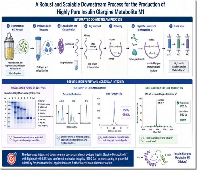 Integrated Sequential Chromatographic Purification of Recombinant Insulin Glargine Metabolite M1