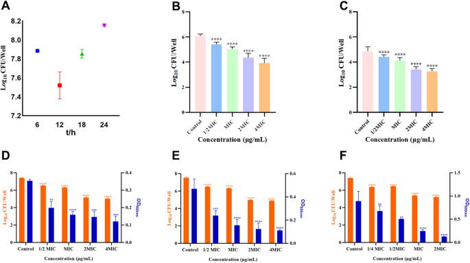 Eradication Efficacy of Antimicrobial Peptide CRAMP-34 Against Mixed-Species Biofilms Formed by  and