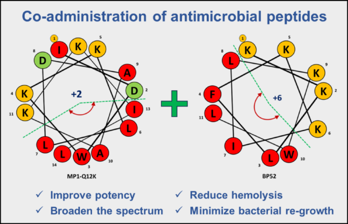 Co-administration of Antimicrobial Peptides: A Promising Strategy to Broaden Antibacterial Activity and Minimize Hemolysis