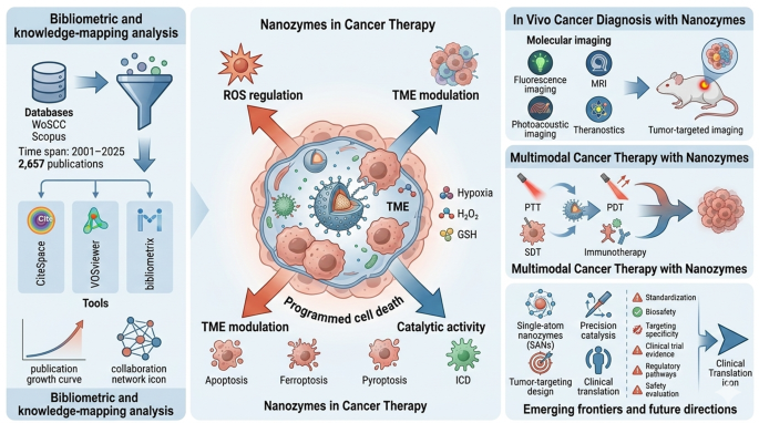Global research trends and emerging frontiers of nanozymes in cancer therapy based on bibliometric and knowledge mapping analysis from 2001 to 2025