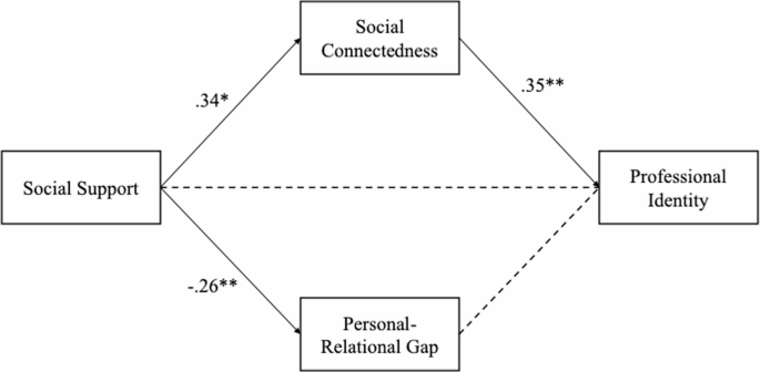 International Counseling Students’ Social Support and Personal and Professional Identities: a Mixed Methods Investigation