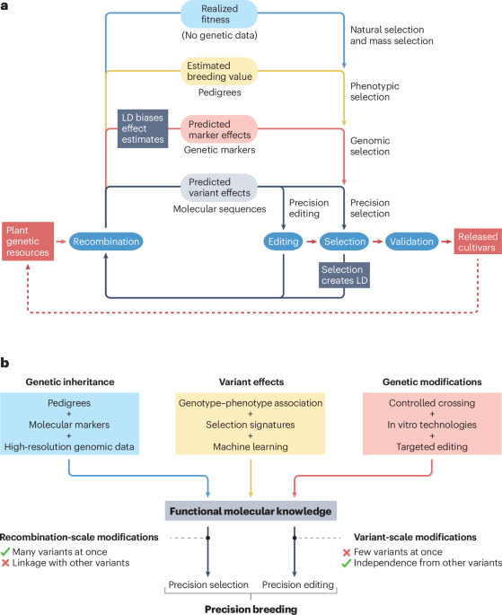 Translating functional molecular knowledge into crop-breeding success