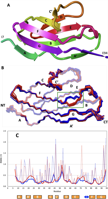 Solution NMR study of the titin I-band IgI domain I82 shows unusual conformational dynamics