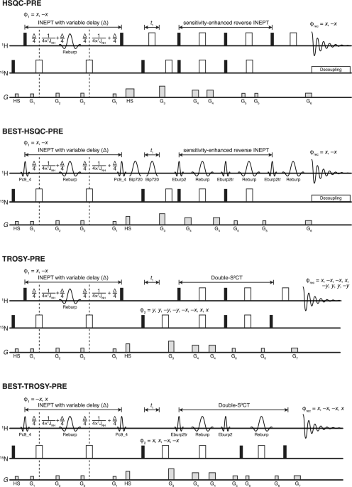 Incorporating the BEST methodology in experiments for measuring paramagnetic relaxation enhancements