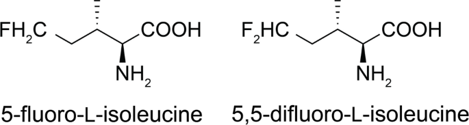 F-NMR spectroscopy of fluorinated isoleucine analogues in a protein